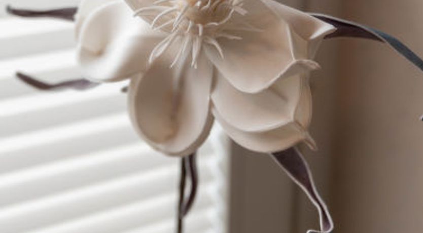 Photo of Tunnelstrasse Apartment 2