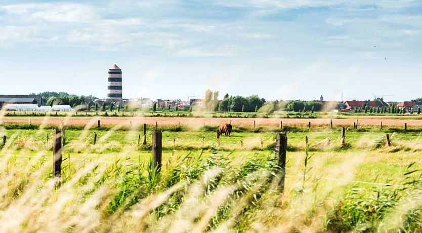 Photo of Residentie Zeeparel