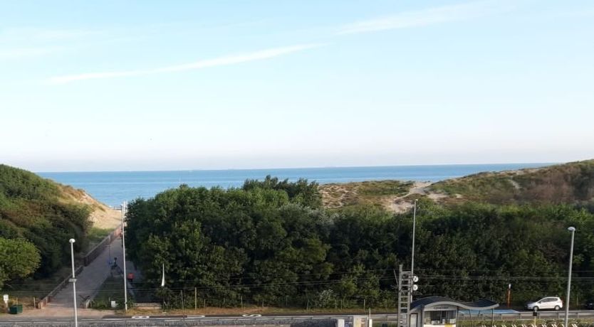 Photo of Meiboom 503