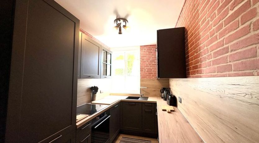 Photo of Dans la forêt de Pin