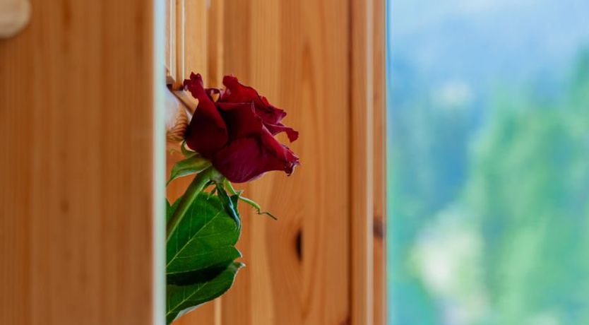 Photo of Rosablanche B72 Apartment 38