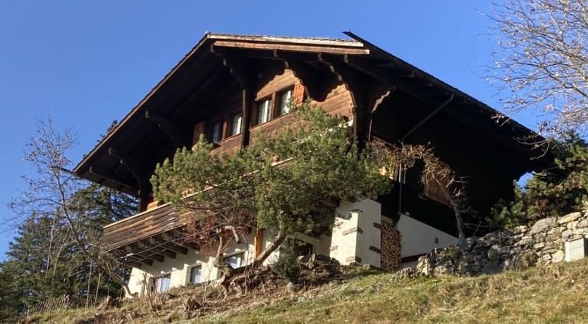 Photo of Jungfrau a d Ledi Holiday Home 2
