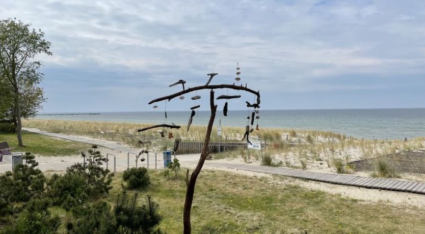 Photo of Blaumuschel (LUB118) Apartment 12