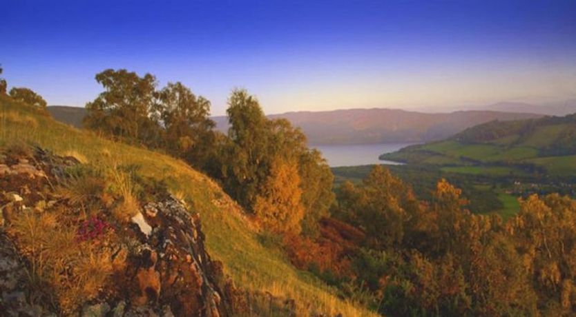 Photo of Achmony Number 8 Holiday Home 2