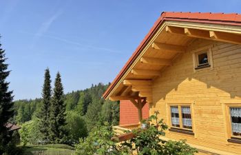 Chalet TONI mit Sauna Holiday Home