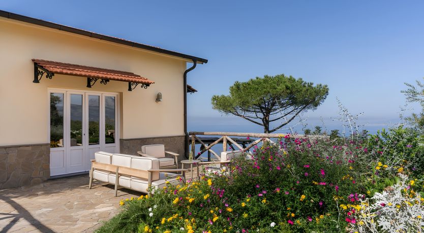 Photo of A Rare Moment