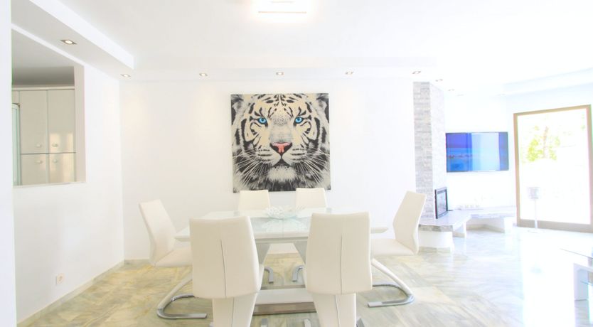 Photo of White Tiger's Eye