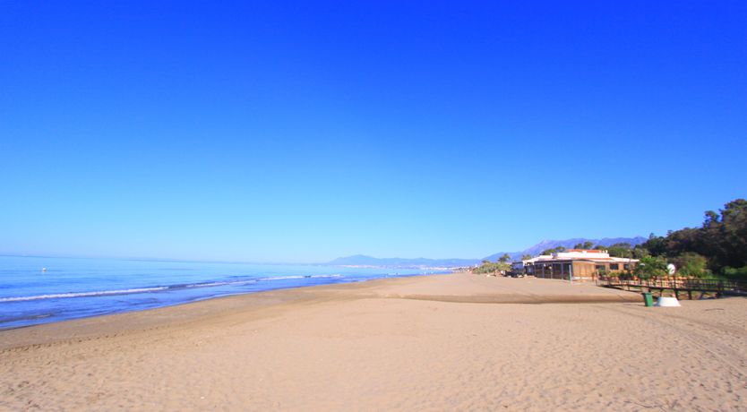 Photo of White Tiger's Eye