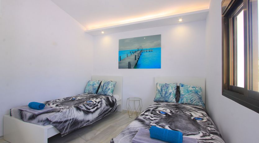 Photo of White Tiger's Eye