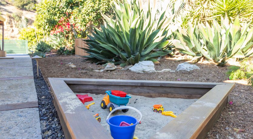 Photo of Summer in the Canyon