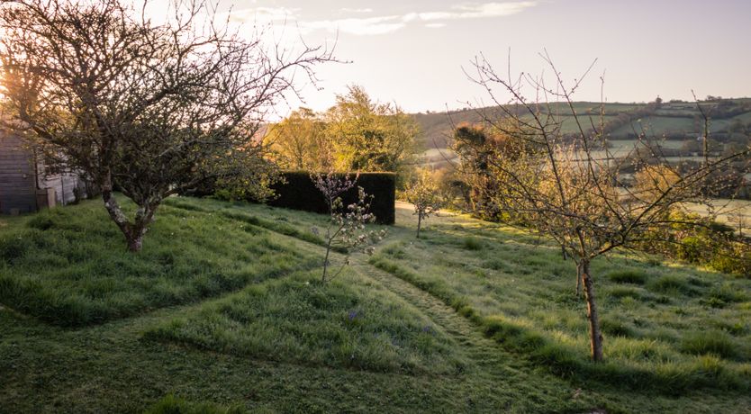 Photo of Devon Dream