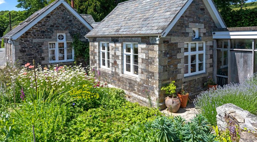 Photo of Devon Dream