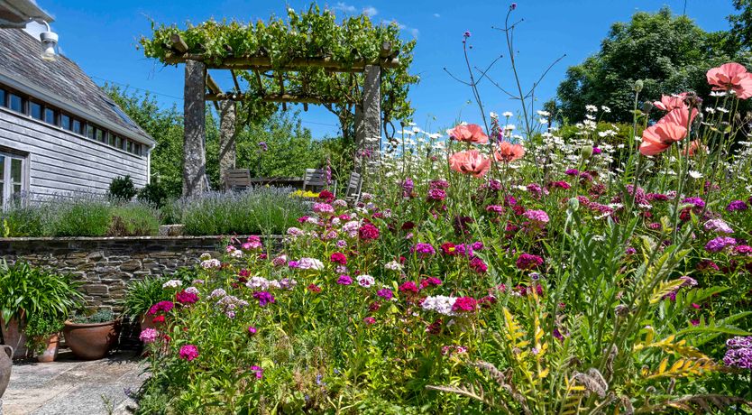 Photo of Devon Dream