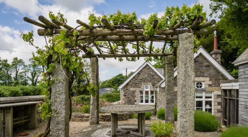 Photo of Devon Dream