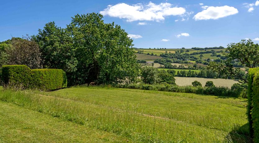 Photo of Devon Dream