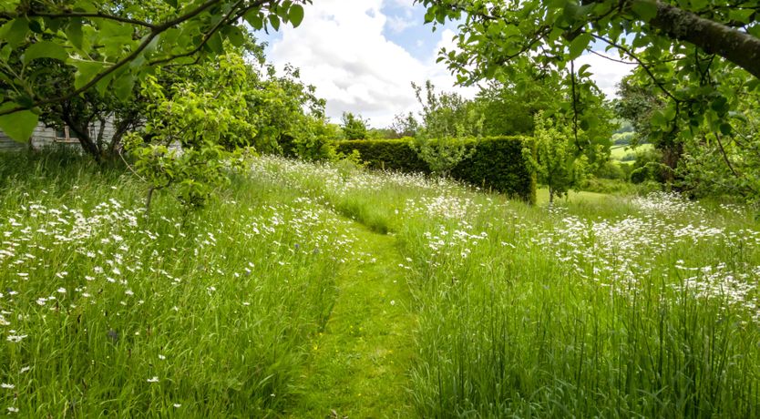 Photo of Devon Dream