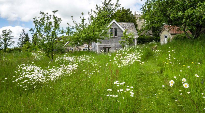 Photo of Devon Dream