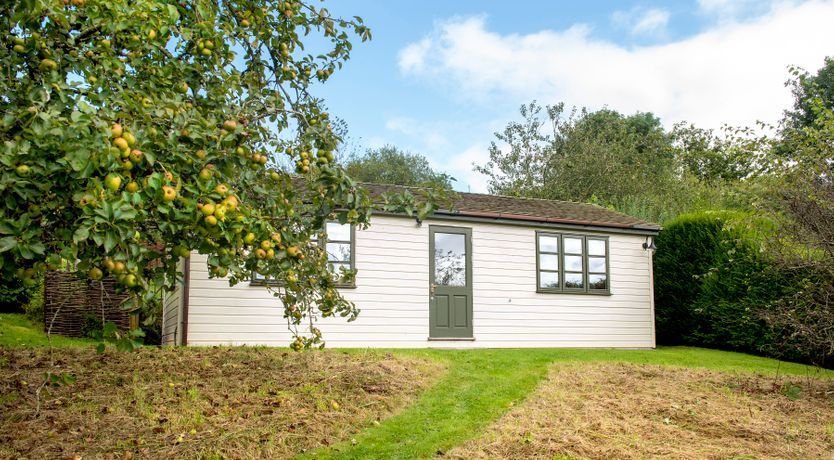 Photo of Devon Dream