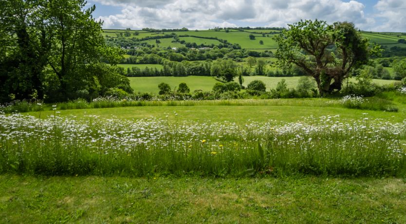 Photo of Devon Dream