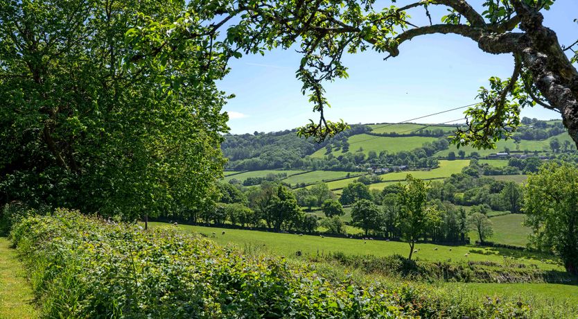 Photo of Devon Dream