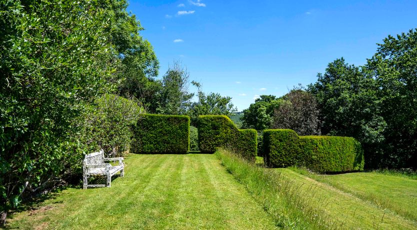 Photo of Devon Dream