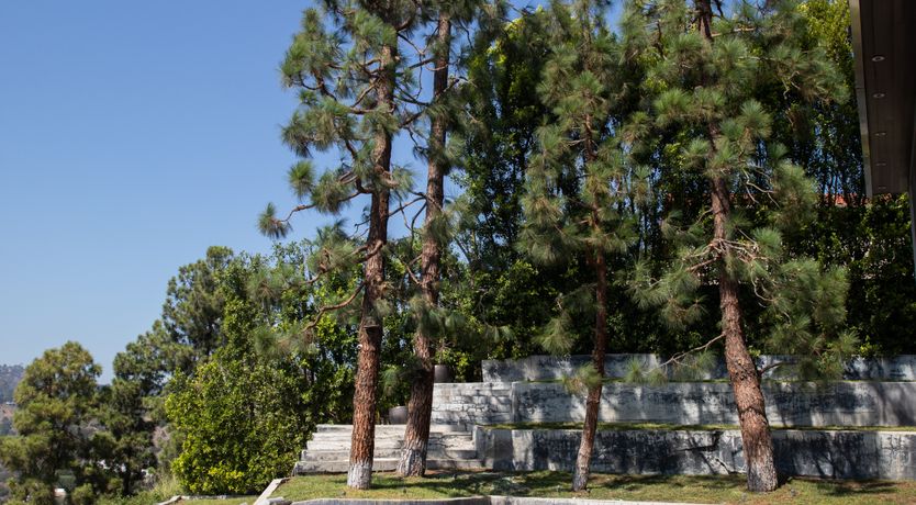 Photo of It's Electra