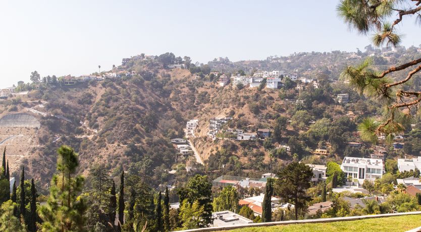 Photo of It's Electra