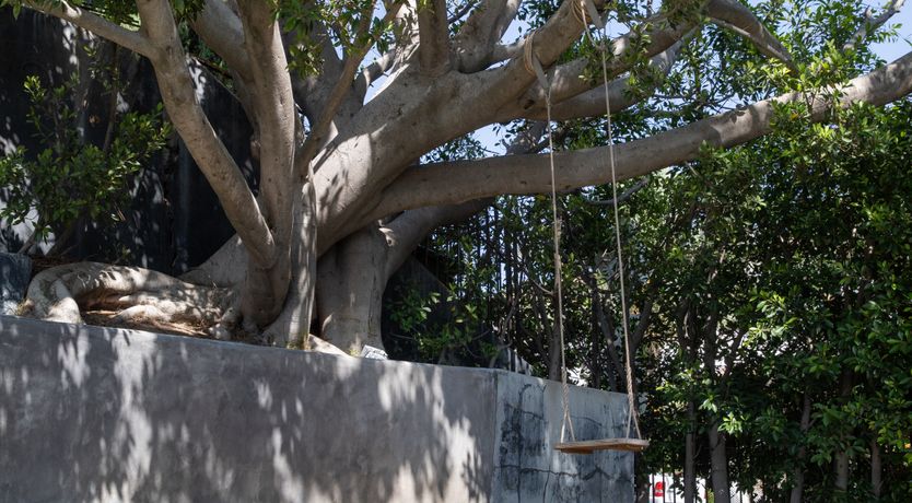 Photo of It's Electra