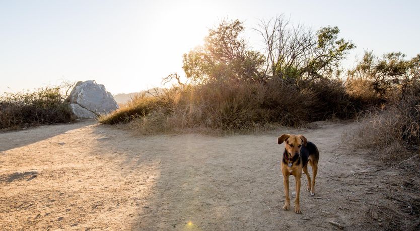 Photo of The Sky Above the Hills