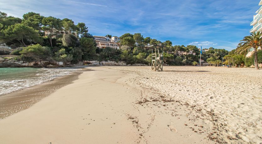 Photo of Mystical Med