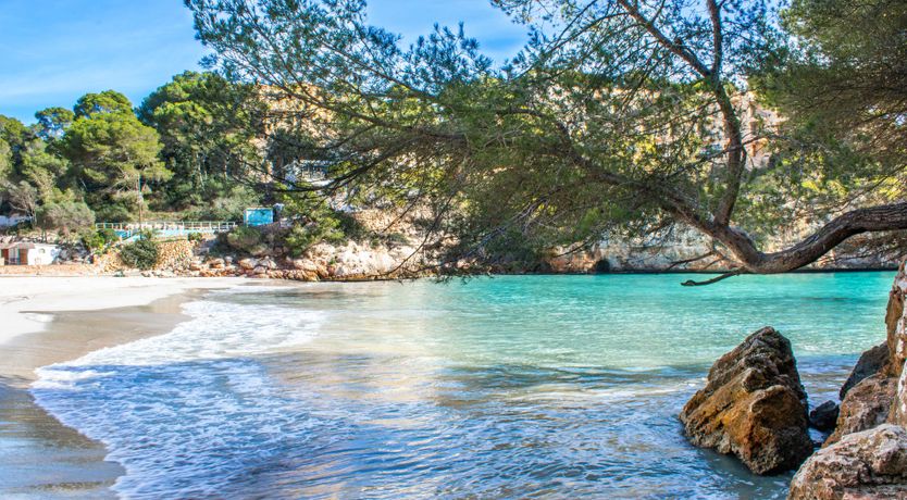 Photo of Mystical Med