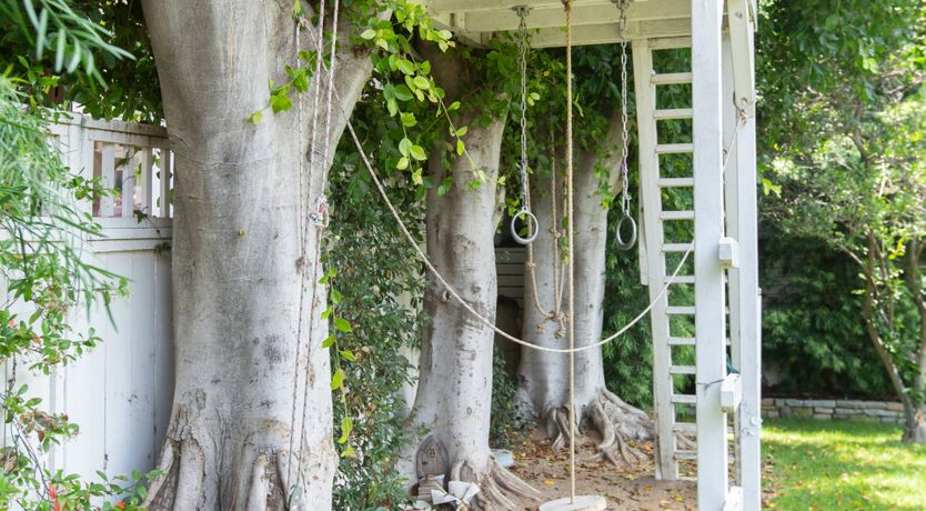 Photo of Modern Americana