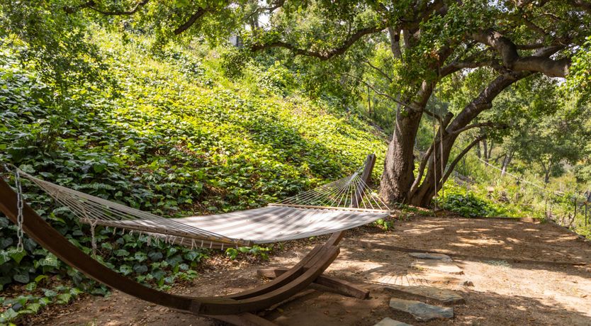 Photo of Rattan & Vine