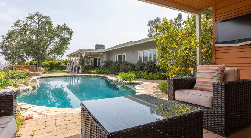 Photo of Rattan & Vine