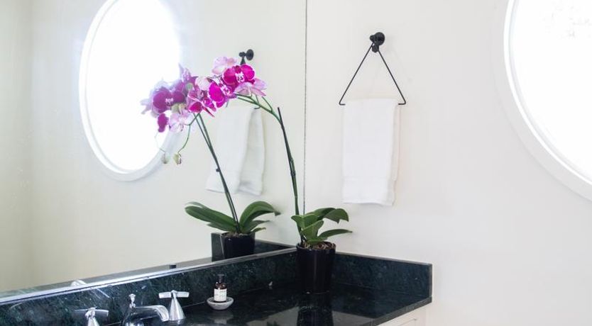 Photo of Hollywood Mirrors