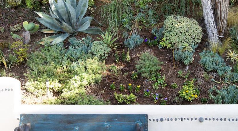 Photo of Hollywood Mirrors