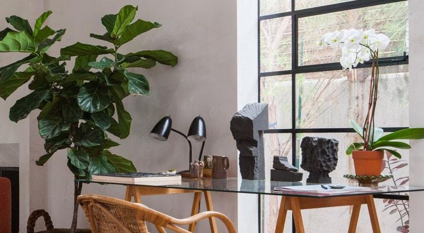 Photo of The Concrete Canvas