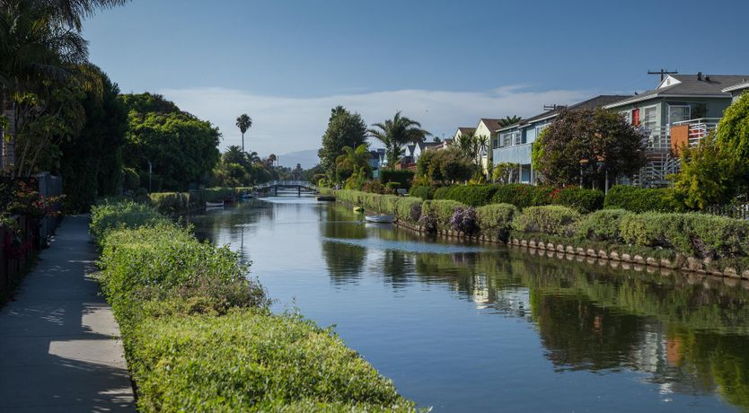 Photo of The Concrete Canvas