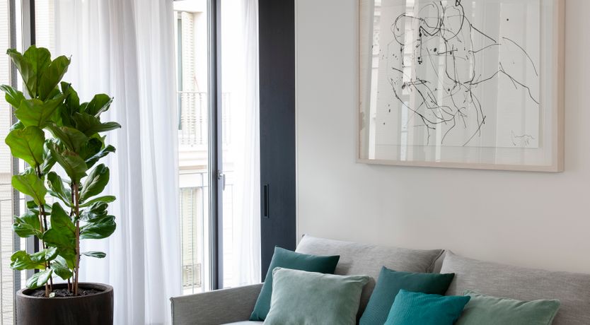 Photo of Splash of Blue