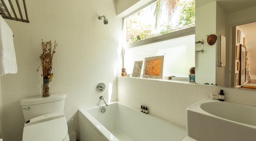 Photo of The Venice Vibe