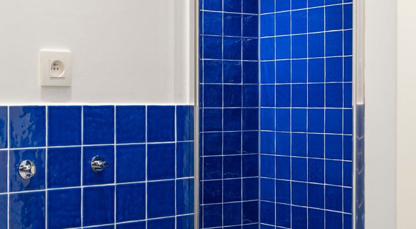 Photo of Terracotta Blues