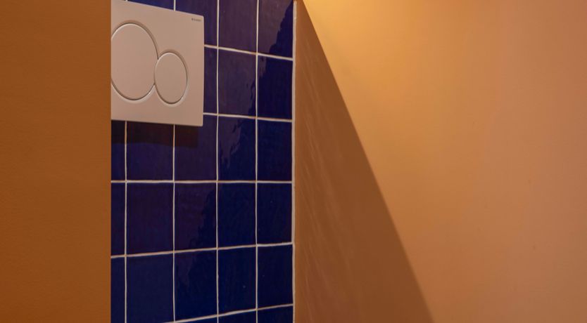 Photo of Terracotta Blues