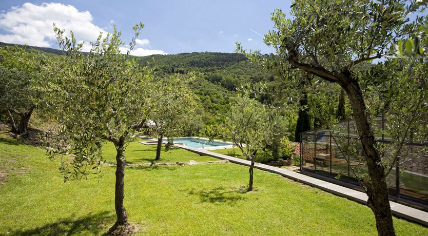 Photo of Citrus & Sangiovese