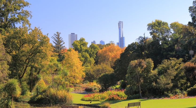 Photo of The Garden Peace