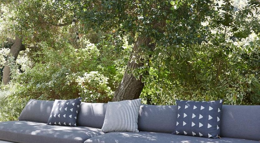 Photo of The Modern Auteur