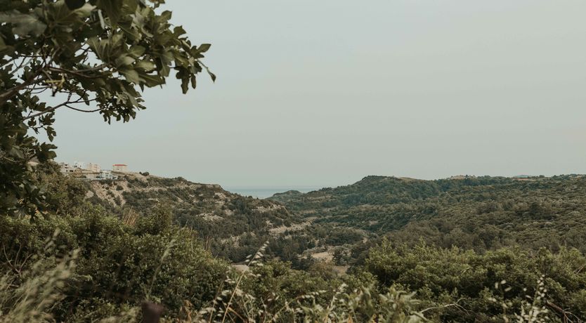 Photo of Helios & Rhode