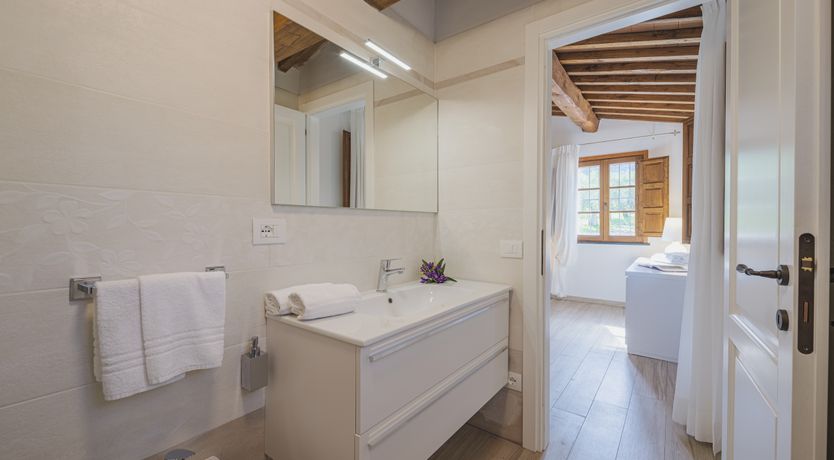 Photo of Dante's Olive Trees