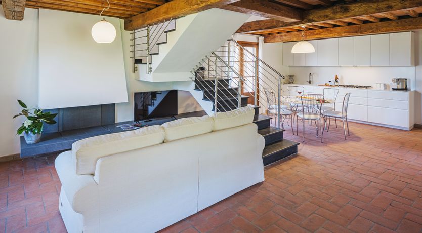 Photo of Dante's Olive Trees