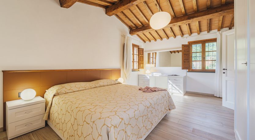 Photo of Dante's Olive Trees