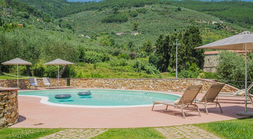 Photo of Dante's Olive Trees